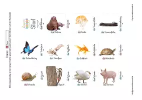 Vorschau - Spiele - Lesedomino Tiere 3 - Wortschatzerweiterung - Deckblatt