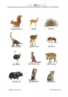 Vorschau - Spiele - Lotto - Tiere 2 - Wortschatzerweiterung - Seite 2