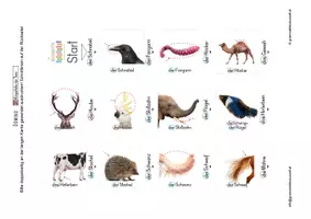 Vorschau - Spiele - Lesedomino - Körperteile Tiere 2 - Erweiterung - Deckblatt