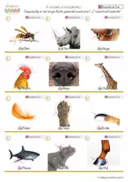 Vorschau - Spiele - Fliegenklatschenspiel - Körperteile der Tiere 1 - Seite 2