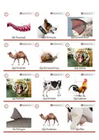 Vorschau - Spiele - Fliegenklatschenspiel - Körperteile Tiere 2 - Erweiterung - Deckblatt