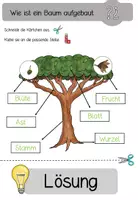 Vorschau - Arbeitsblätter - Aufbau eines Baumes - Seite 3