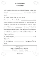 Vorschau - Stundenentwürfe - die Kartoffelknolle - Tafelmaterial, Arbeitsblätter für Klasse 2-4 - Seite 3