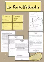 Vorschau - Stundenentwürfe - die Kartoffelknolle - Tafelmaterial, Arbeitsblätter für Klasse 2-4 - Deckblatt