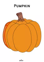 Vorschau - Arbeitsblätter - Pumpkin Info Card / Kürbis Wissenskarte Englisch + Poster - Seite 3