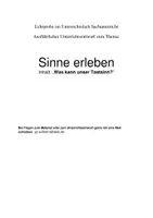 Vorschau - Stundenentwürfe - Lehrprobe zum Thema "Fühlen und Tasten" - Deckblatt