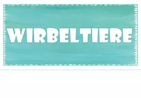 Vorschau - Präsentationen/Tafelbilder - Wirbeltiere I Wirbeltierklassen I Tafelbild - Seite 2