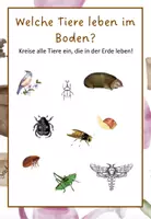 Vorschau - Arbeitsblätter - Freebie: Welche Tiere leben in der Erde? - Seite 1