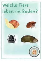 Vorschau - Arbeitsblätter - Freebie: Welche Tiere leben in der Erde? - Deckblatt