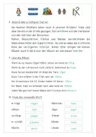 Vorschau - Anderer Materialtyp - Verwandte Wörter ä oder e - Seite 3