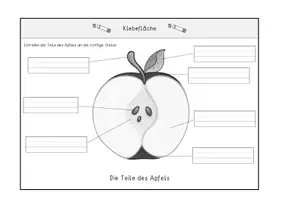 Vorschau - Anderer Materialtyp - Klappheft Apfel - Seite 1