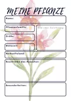 Vorschau - Stundenentwürfe - Vortrag - Pflanzen (Anforderung, Steckbrief, Bewertung) - Seite 3