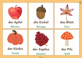 Vorschau - Präsentationen/Tafelbilder - DaZ HERBST-WORTSCHATZ - deutsch-russisch - Seite 3