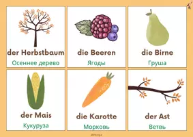 Vorschau - Präsentationen/Tafelbilder - DaZ HERBST-WORTSCHATZ - deutsch-russisch - Seite 2