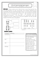 Vorschau - Arbeitsblätter - Chromosomen - Infoblatt, Arbeitsblatt - Seite 2