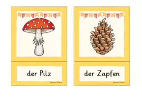 Vorschau - Fördermaterial/Inklusion - Herbst - Bildkarten - Seite 3
