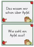 Vorschau - Arbeitsblätter - Apfel Vorwissen Einführungsstunde Klasse 1/2 - Seite 3