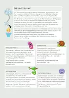 Vorschau - Merkblätter - Neurotoxine / Synapsengifte / Neurobiologie (Merkblatt) - Seite 1