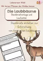 Vorschau - Arbeitsblätter - Die Laubbäume - Steckbriefvorlage und Laufzettel - Deckblatt