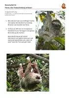 Vorschau - Klassenarbeiten - Klassenarbeit - Tierbeschreibung - Tiere beschreiben - Faultier - Seite 1