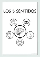 Vista previa - Hojas de trabajo - Paquete de material - Los 5 sentidos - Portada