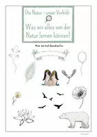 Vorschau - Arbeitsblätter - Bionik Portfolio (Deckblatt, Lerntagebuch & Fremdeinschätzung) - Seite 2