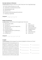Vorschau - Arbeitsblätter - Konrad Adenauer (Infotext und Übungen) - Seite 2