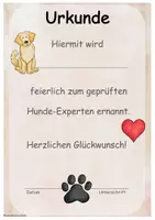 Vorschau - Poster - Urkunden Schulhund - Seite 3