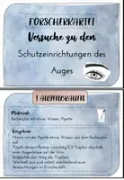 Vorschau - Stundenentwürfe - Versuche Schutzmechanismen des Auges mit Forscherheft - Seite 1