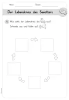 Vorschau - Arbeitsblätter - Der Otter - Lebenskreislauf (Arbeitsblatt und Tafelmaterial) - Seite 2