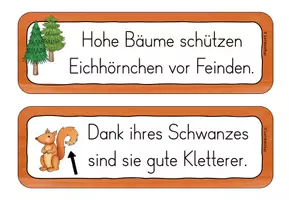 Vorschau - Arbeitsblätter - Laufdiktat/ Schleichdiktate Eichhörnchen Klasse 2-3 - Seite 2