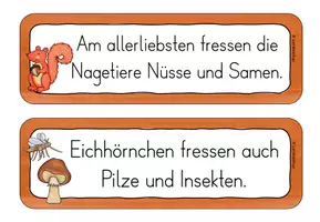 Vorschau - Arbeitsblätter - Laufdiktat/ Schleichdiktate Eichhörnchen Klasse 2-3 - Seite 3