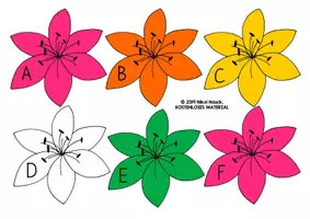 Vorschau - Aufgabenkarten - LILIEN DES FELDES UND VÖGEL DES HIMMELS - Seite 3