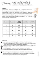 Vorschau - Arbeitsblätter - Beeinflussung von Herz & Kreislauf - Schülerversuch: Puls (differenziert) Jg. 8-10 - Seite 3
