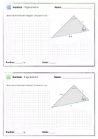 Vorschau - Test - Kurztest Trigonometrie 2 - Rechtwinkliges Dreieck - Seite 3