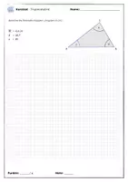 Vorschau - Test - Kurztest Trigonometrie 4 - Allgemeines Dreieck - Seite 2