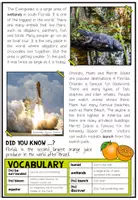 Vista previa - Hojas de trabajo - USA - FLORIDA (Fact Sheets, Worksheets and Games) - página 3
