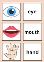 Vorschau - Spiele - Body Parts (Vocabulary Game - Find the pairs) - Seite 2