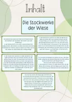 Vorschau - Stundenentwürfe - Tafelbild: Die Stockwerke der Wiese - Seite 3
