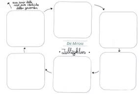 Vorschau - Arbeitsblätter - Die Mitose (9.Klasse) - Deckblatt