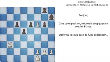 Aperçu - Feuilles d'exercices - Cours d'échecs Débutant Entraineur/Formateur B.BISSARO - Page 1