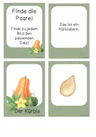 Vorschau - Bildkarten - Der Kürbis - Der Lebenszyklus in Bildkarten und Sätzen - Seite 2