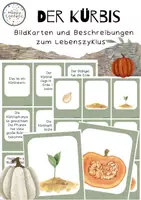 Vorschau - Bildkarten - Der Kürbis - Der Lebenszyklus in Bildkarten und Sätzen - Seite 1