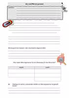 Vorschau - Stundenentwürfe - Materialpaket Mikroorganismen - Seite 1