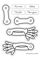 Vista previa - Manualidades / Dibujos para colorear - Construeix un esquelet - página 2