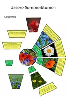 Vorschau - Bildkarten - Legekreis Sommerblumen - Deckblatt