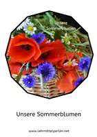 Vorschau - Bildkarten - Legekreis Sommerblumen - Seite 1