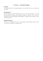 Vorschau - Stundenentwürfe - Magnetismus - verschiedene Magnete - 2. Stunde - Seite 1