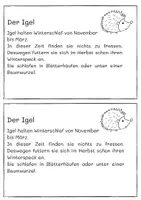 Vorschau - Unterrichtsreihen - Forscherheftchen "Tiere im Winter" - Seite 3