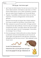 Vorschau - Arbeitsblätter - Igel Nahrung Tafelmaterial mit ABs - Seite 3